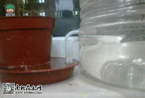 圖片2