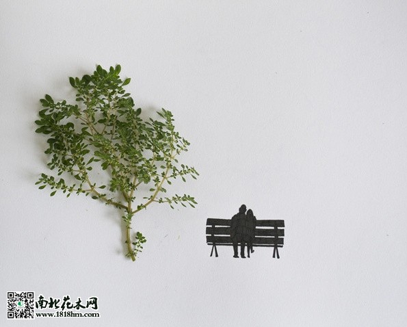 我能想到最浪漫的事，就是和你一起慢慢變老