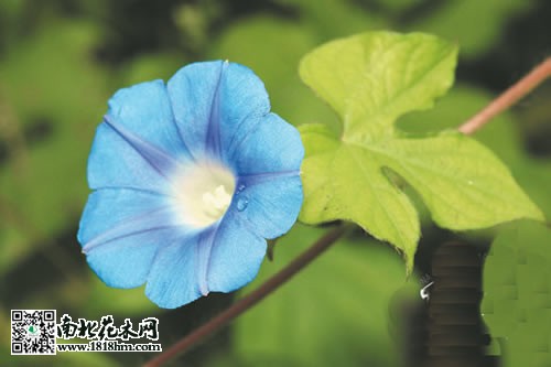 牽?；? /></p>
<p style=