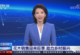 重磅！央視一天兩次為沭陽點贊，誠信標簽助力沭陽花木轉型升級
