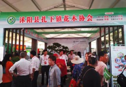 沭陽(yáng)縣扎下鎮(zhèn)花木協(xié)會(huì)