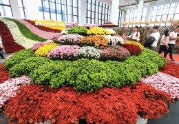 沭陽(yáng)縣花木協(xié)會(huì)