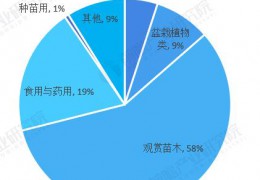 2022年中國盆栽植物行業(yè)發(fā)展現(xiàn)狀及市場(chǎng)規(guī)模分析