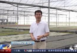 【多肉產(chǎn)業(yè)】央視《新聞直播間》點(diǎn)贊沭陽(yáng)多肉產(chǎn)業(yè)