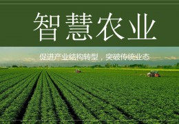 我國(guó)智慧農(nóng)業(yè)發(fā)展現(xiàn)狀