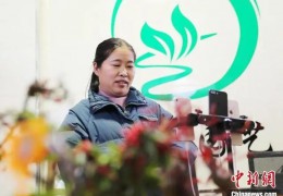 江蘇沭陽依托直播推動(dòng)花木消費(fèi)—花木上“云”香萬家
