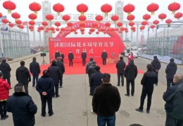 2023沭陽國(guó)際花木城“年宵花節(jié)”開幕