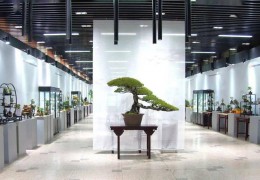 久違！開年第一展，開啟新篇章